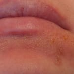 User submitted media