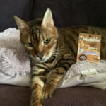 User submitted media