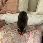 Rectangular Vintage Rug Print Pouf