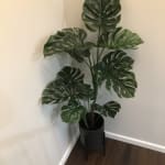 Large Faux Monstera Plant