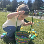 User submitted media