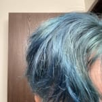 User submitted media