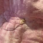 User submitted media 1 of 2