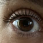 User submitted media 1 of 2