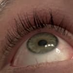 User submitted media 1 of 2