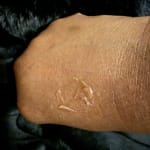 User submitted media