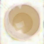 User submitted media 1 of 2