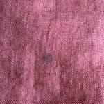 User submitted media 2 of 2