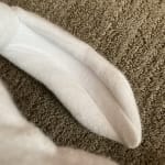 User submitted media 1 of 2