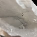 User submitted media 2 of 2