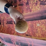 User submitted media 1 of 2