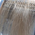 User submitted media 1 of 2