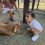 User submitted media 1 of 2