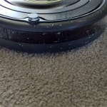 User submitted media 2 of 2