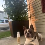 User submitted media