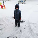 User submitted media