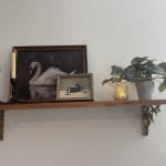 Handblown Glass Dried Botanicals Tealight Candle Holder