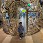 User submitted media