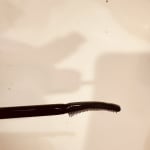 User submitted media 3 of 3