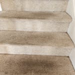 Hoover Renewal Carpet Cleaner Solution (128oz)