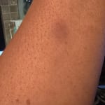 User submitted media 1 of 2