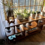 Ashlyn Walnut Brown Wood Bookshelf