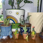 Frog with Cactus Fairy Garden Decor 3 Pack