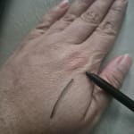 User submitted media