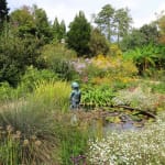 User submitted media 3 of 3