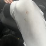 User submitted media