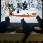 User submitted media