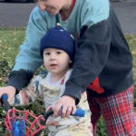 User submitted media