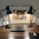 User submitted media