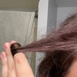 User submitted media