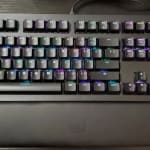 User submitted media