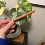 User submitted media 2 of 3