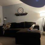 User submitted media