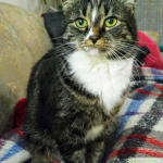 User submitted media