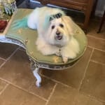 User submitted media 1 of 6