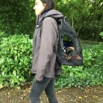 timbuk2 muttmover light backpack