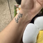 User submitted media 1 of 2