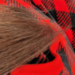 User submitted media 1 of 2