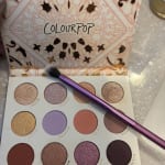 User submitted media