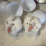 User submitted media