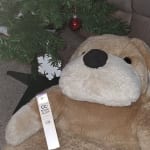 User submitted media 3 of 5