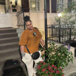 User submitted media