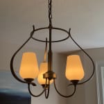 User submitted media