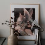 User submitted media