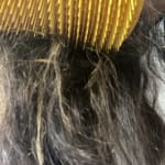 User submitted media 1 of 4