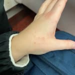 User submitted media 1 of 2